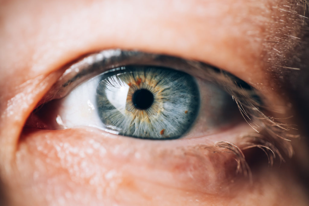 Yeux Marrons Verts Tout Savoir Sur Les Yeux Et Les Couleurs