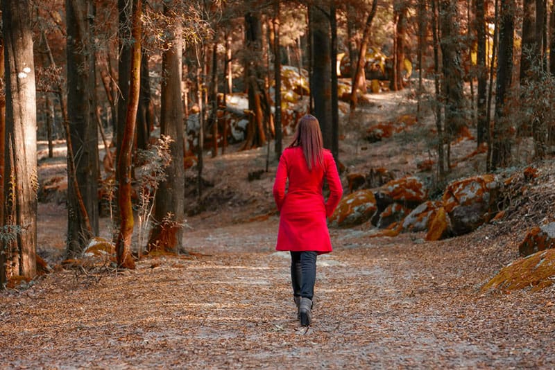 femme, rouge, manteau, marche, forêt