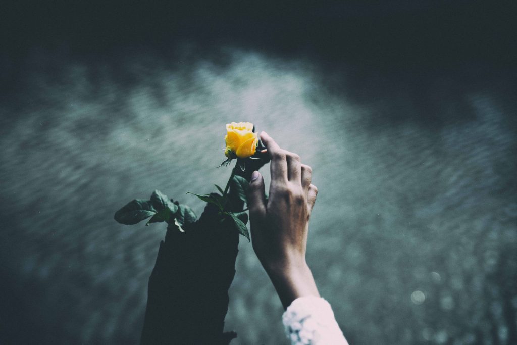 la femme touche la rose avec sa main