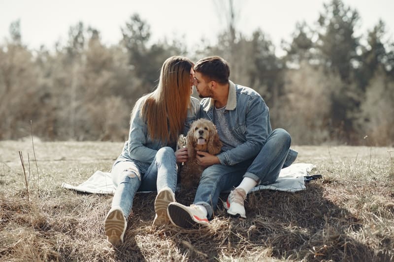un homme et une femme s'embrassent assis sur l'herbe et un chien est assis entre eux