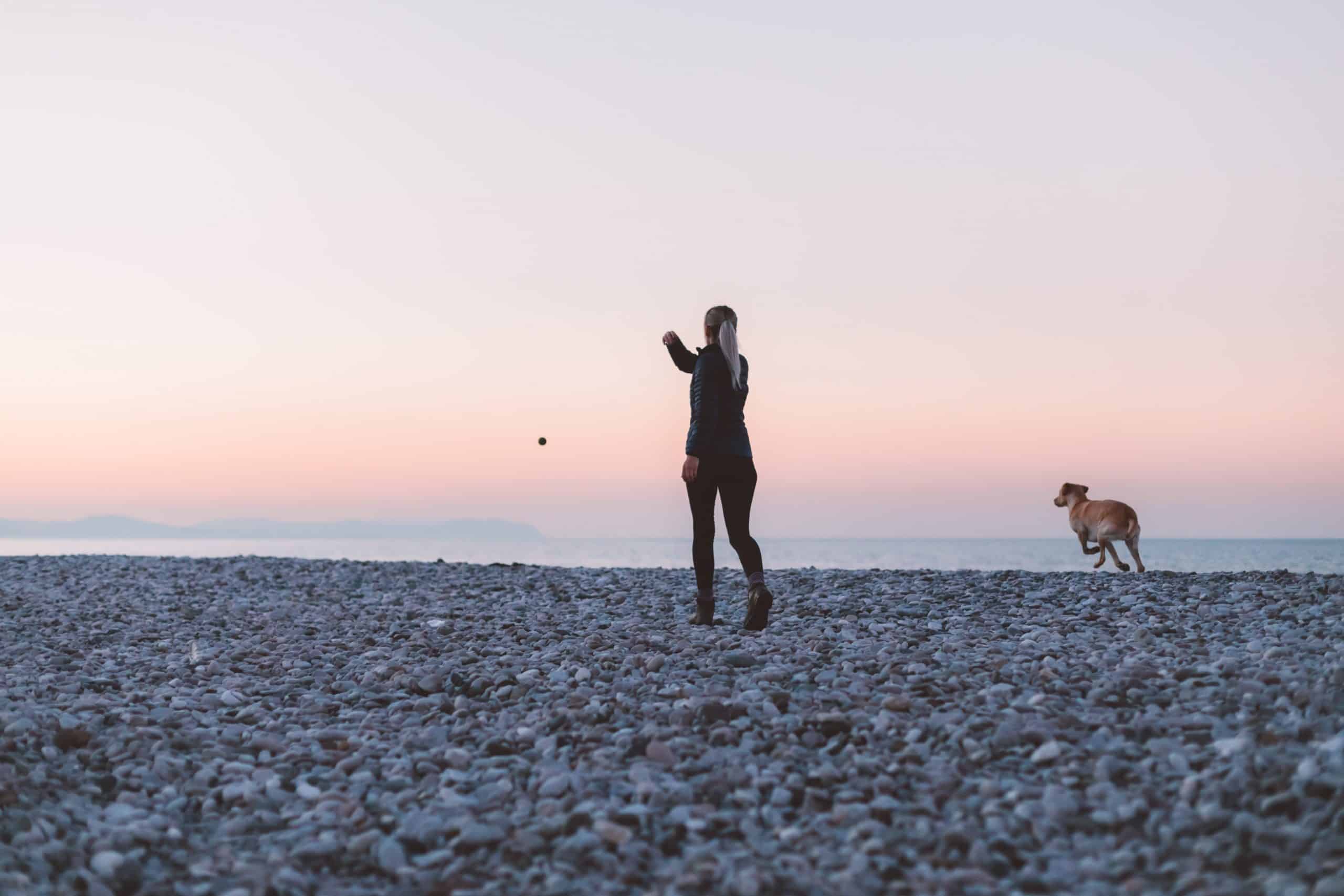une femme lance une balle à son chien