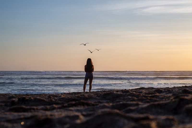 une femme sur le rivage regarde les mouettes