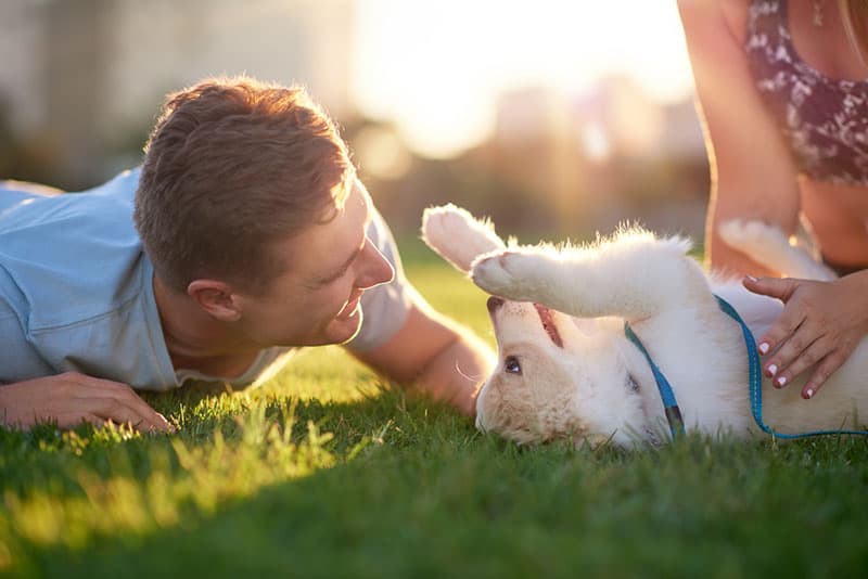 jeune couple, jouer, à, a, chien, dans parc