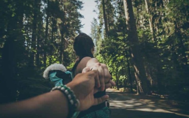 jeune couple, tenant mains, dans, bois