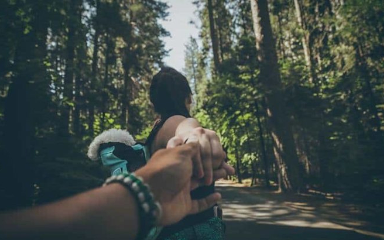 jeune couple, tenant mains, dans, bois