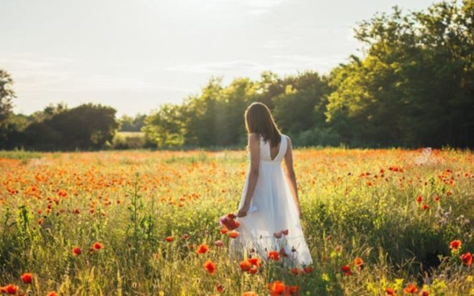 femme qui marche dans les hautes herbes