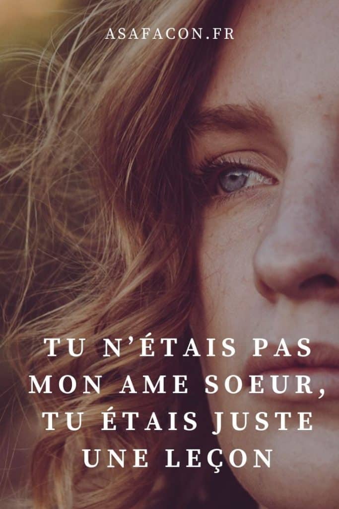 Tu N'étais Pas Mon Ame Soeur, Tu Étais Juste Une Leçon