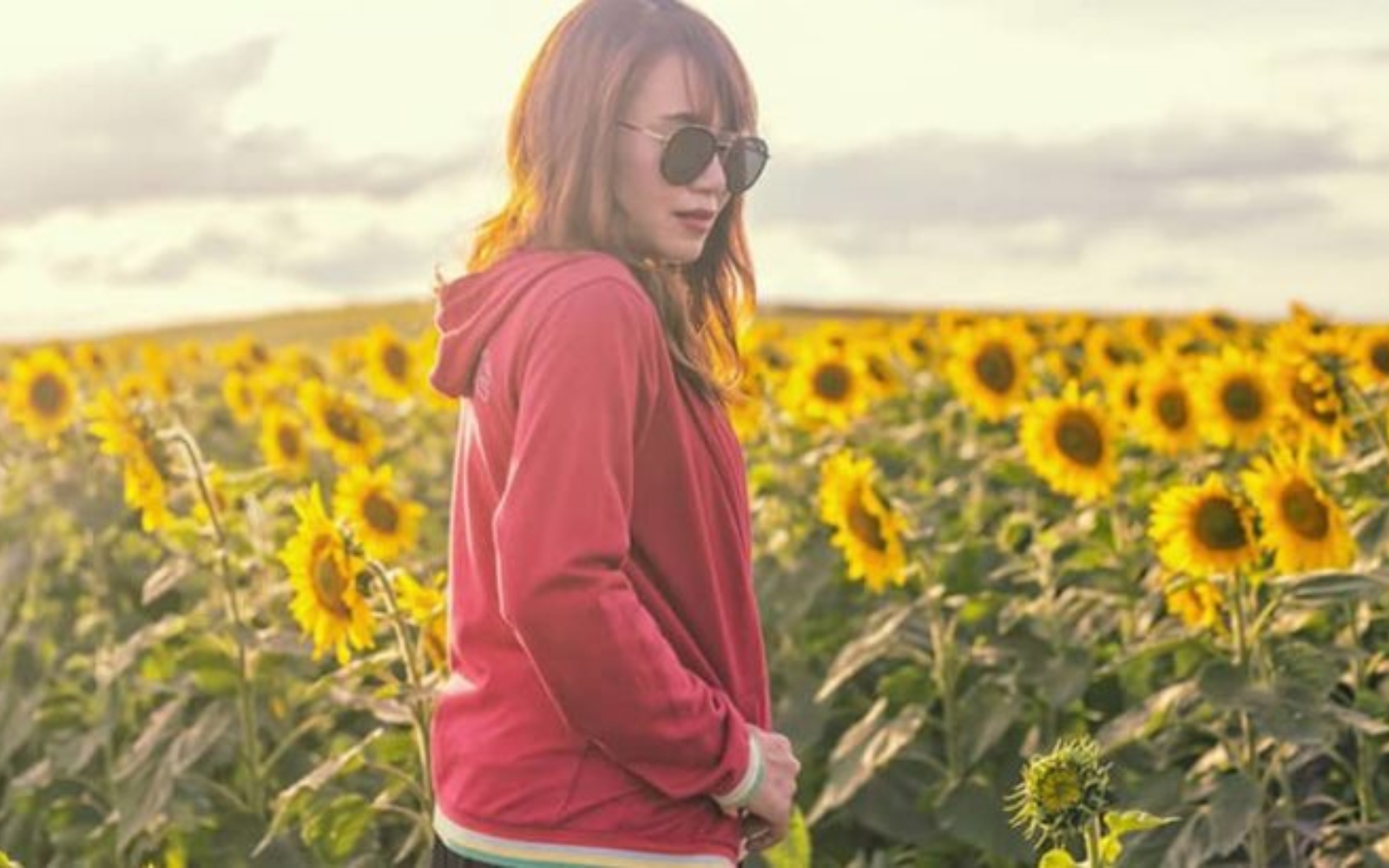 femme dans un champ de tournesols