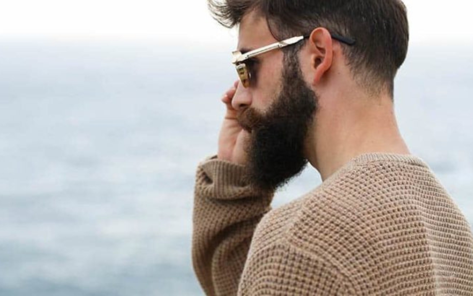 Vue laterale dun homme barbu portant des lunettes de soleil et un sweat shirt marron à l'extérieur