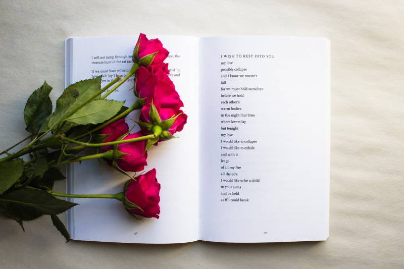 livre de poésie avec des roses