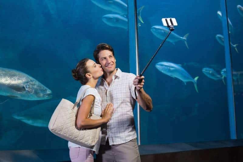 Couple heureux utilisant un bâton d'égoïste à l'aquarium
