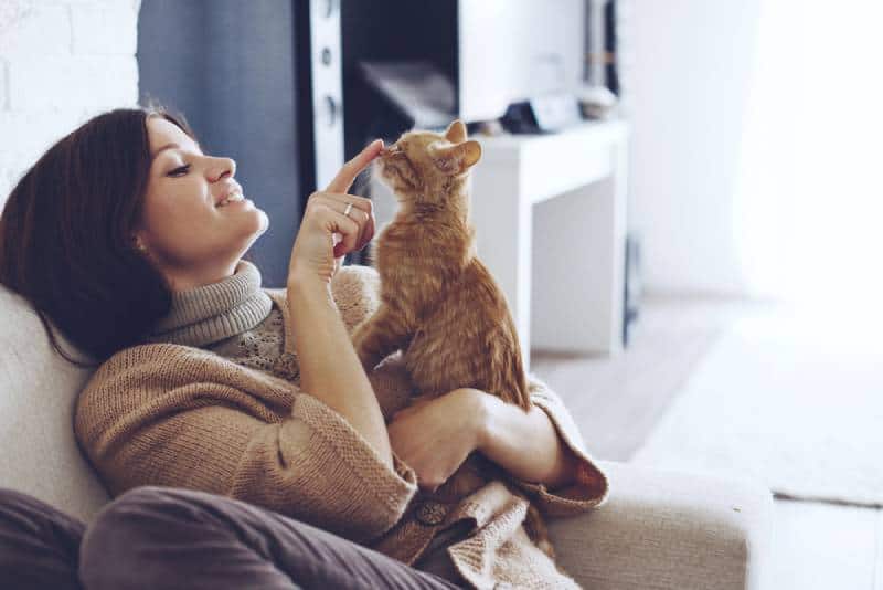 femme jouant avec le chat à la maison