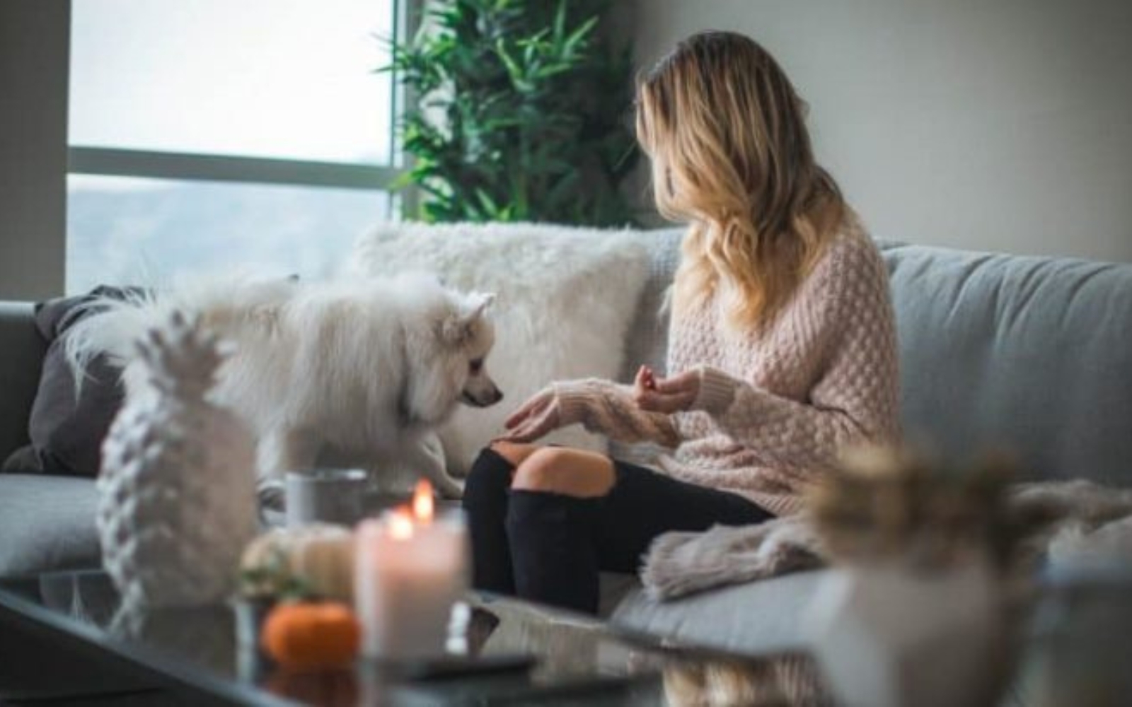 la femme est assise avec le chien