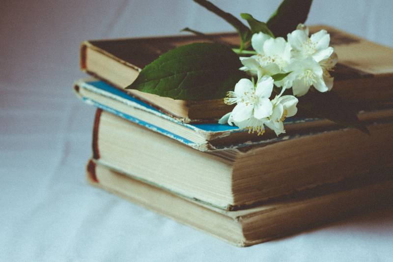 fleur blanche sur un livre