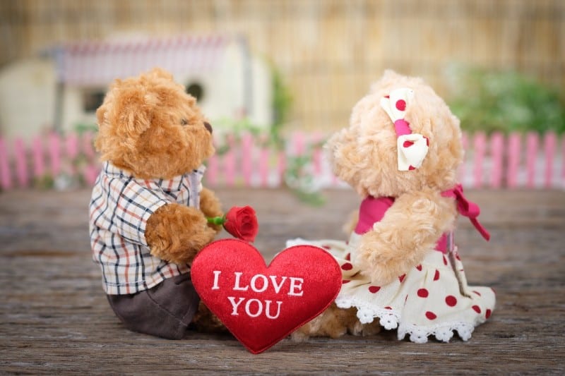 ours en peluche et coeur d'amour