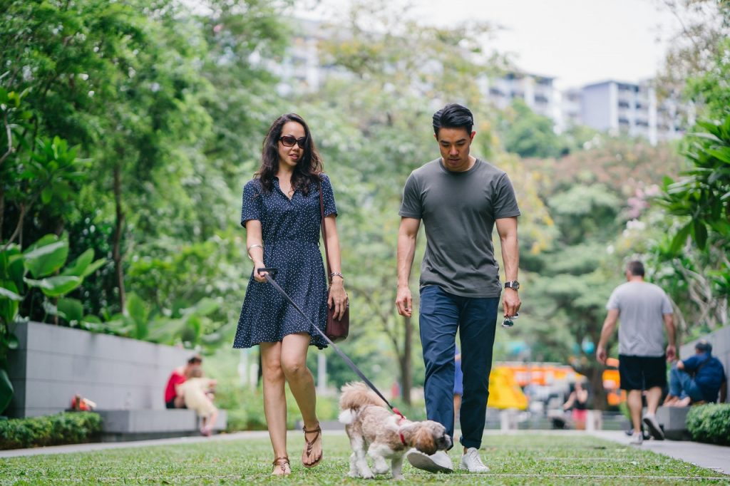 un homme et une femme marchent avec un chien
