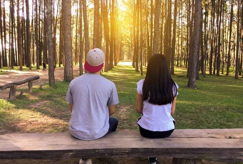 vue arrière d'un homme et d'une femme assis autour d'un arbre