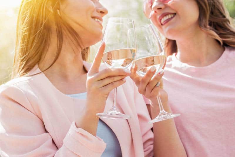 Gros plan de deux femmes heureuses qui acclament avec des verres de vin blanc et sourient en pique-niquant