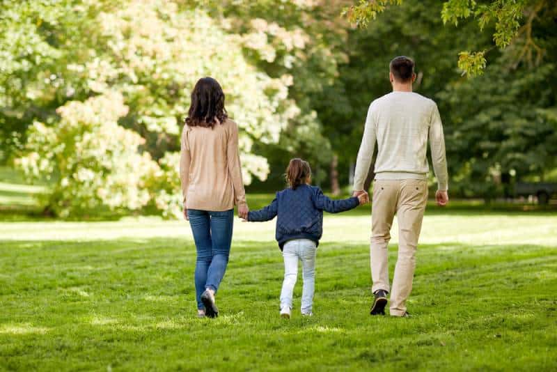 Vue de dos de parents tenant leur fille dans leurs bras et marchant sur l'herbe