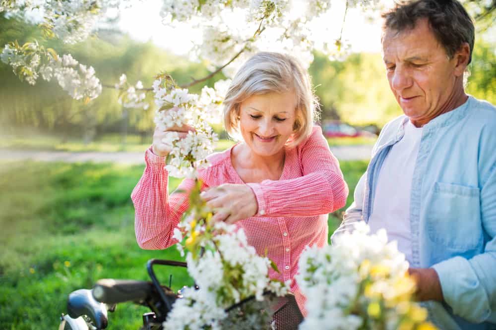 Un beau couple de personnes âgées cueillant les branches en fleurs des arbres
