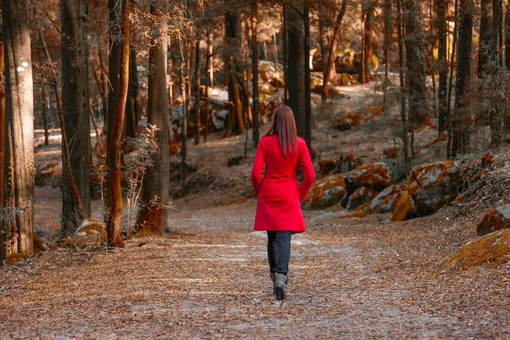 la femme au manteau rouge définit la forêt