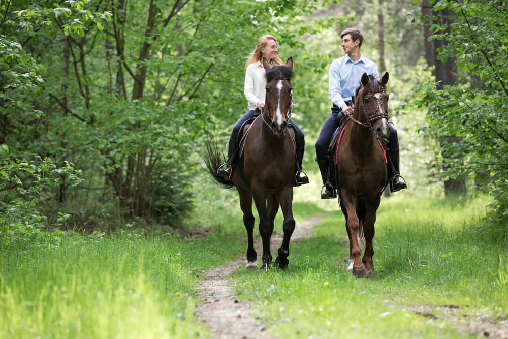 un couple amoureux monte à cheval dans les bois