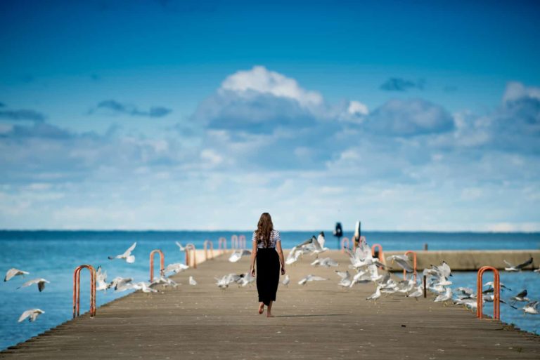 femme debout sur un quai entouré d'oiseaux