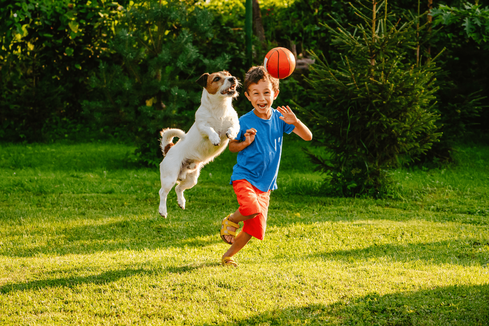 un enfant souriant qui traverse un champ en jouant avec un chien