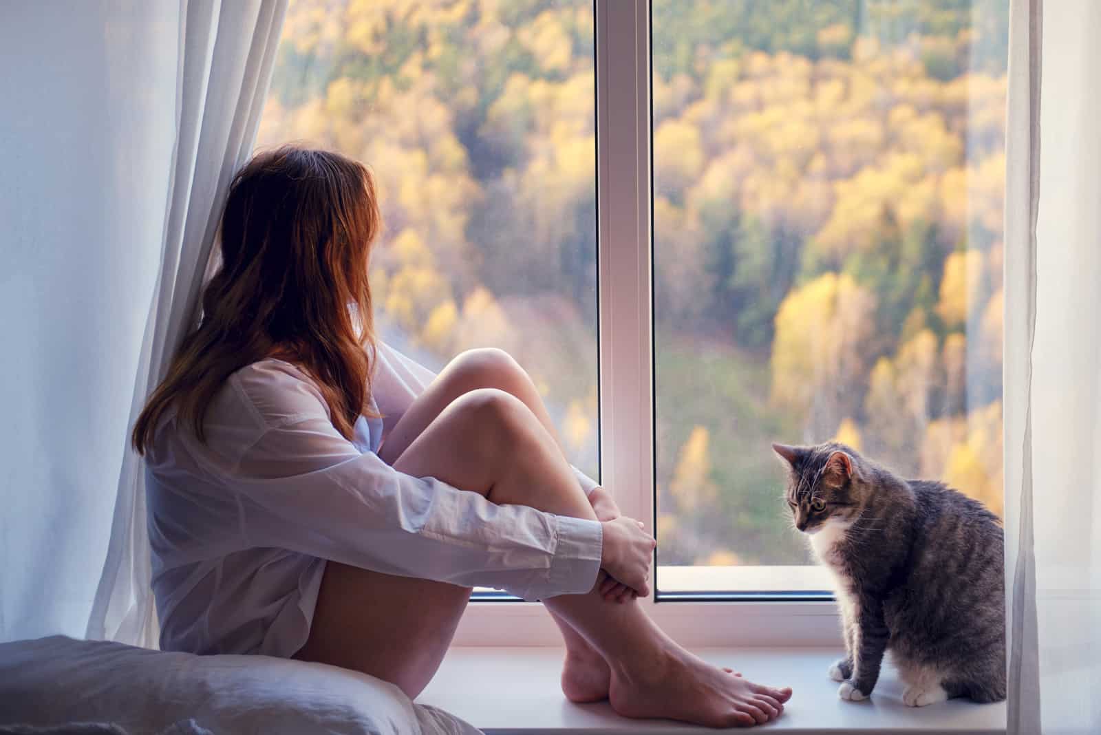 femme assise près de la fenêtre avec son chat