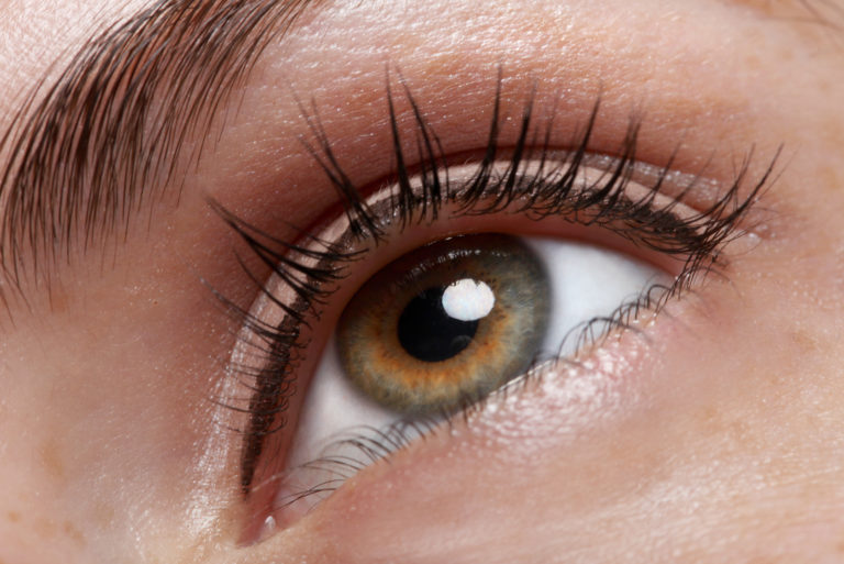 gros plan des yeux noisette de la femme