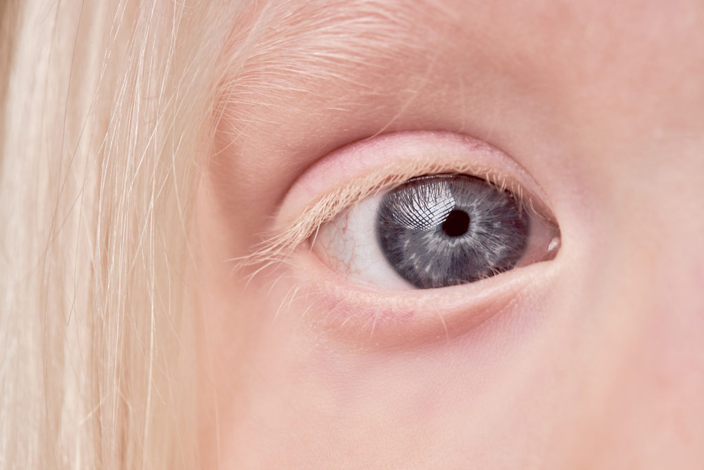 Yeux Marrons Verts Tout Savoir Sur Les Yeux et Les Couleurs