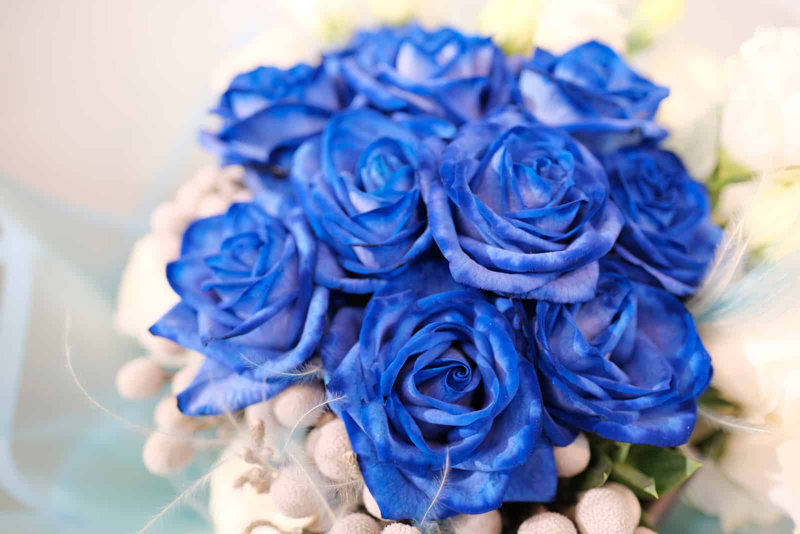 bouquet de roses bleues