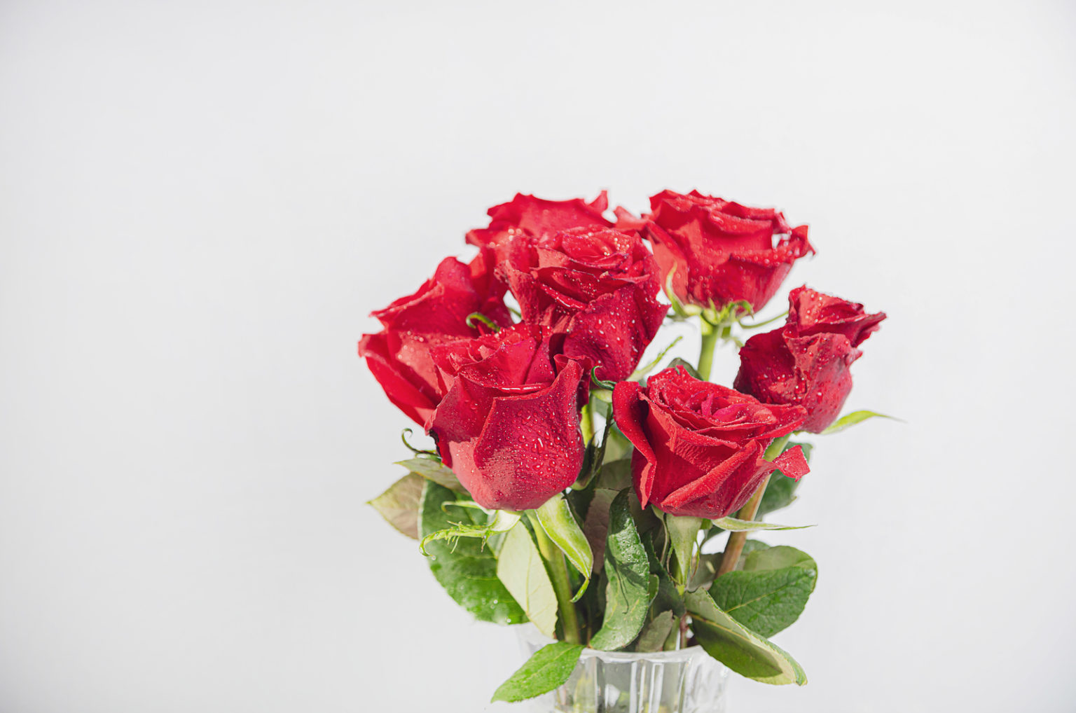 7 Roses : La Signification Et Pourquoi Offrir Ce Nombre De Roses