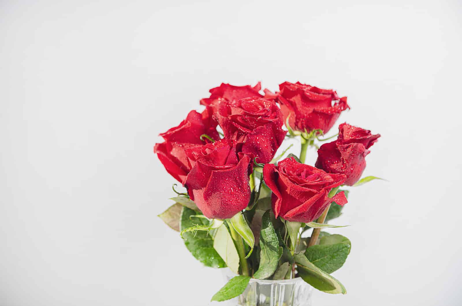 7 Roses : La Signification Et Pourquoi Offrir Ce Nombre De Roses