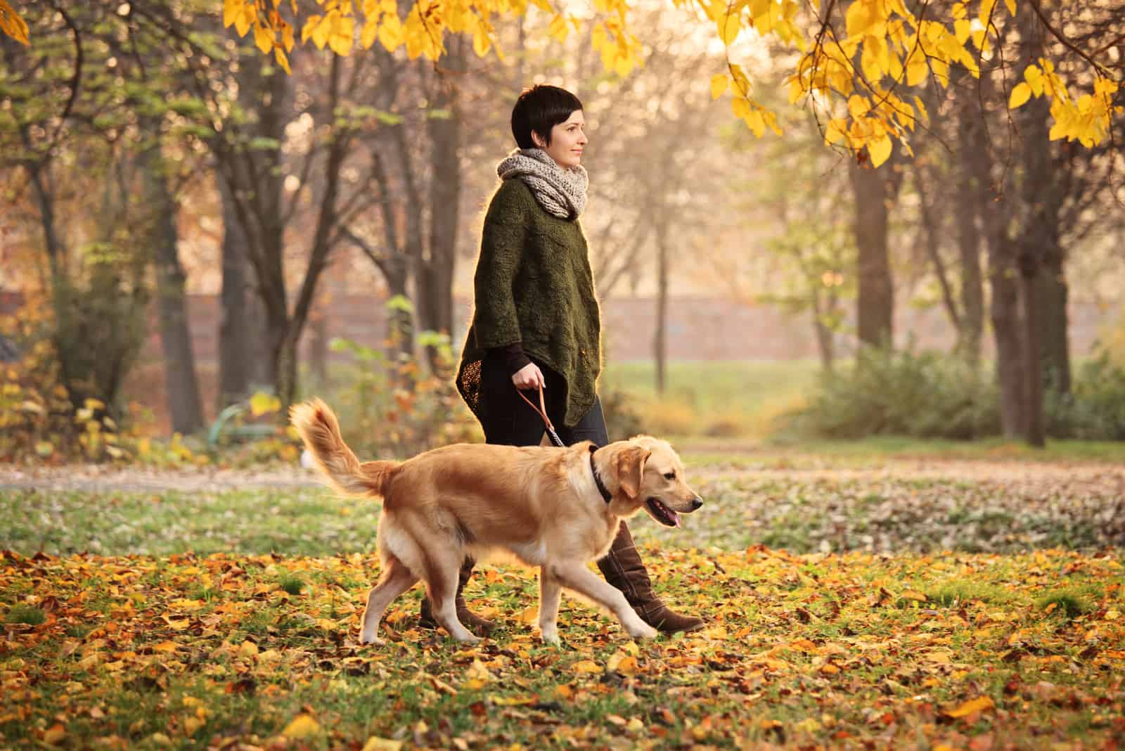femme promenant son chien dans le parc