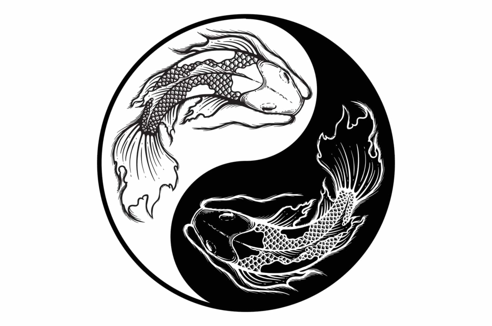 Ying yang poisson koi symbole d'harmonie et d'équilibre