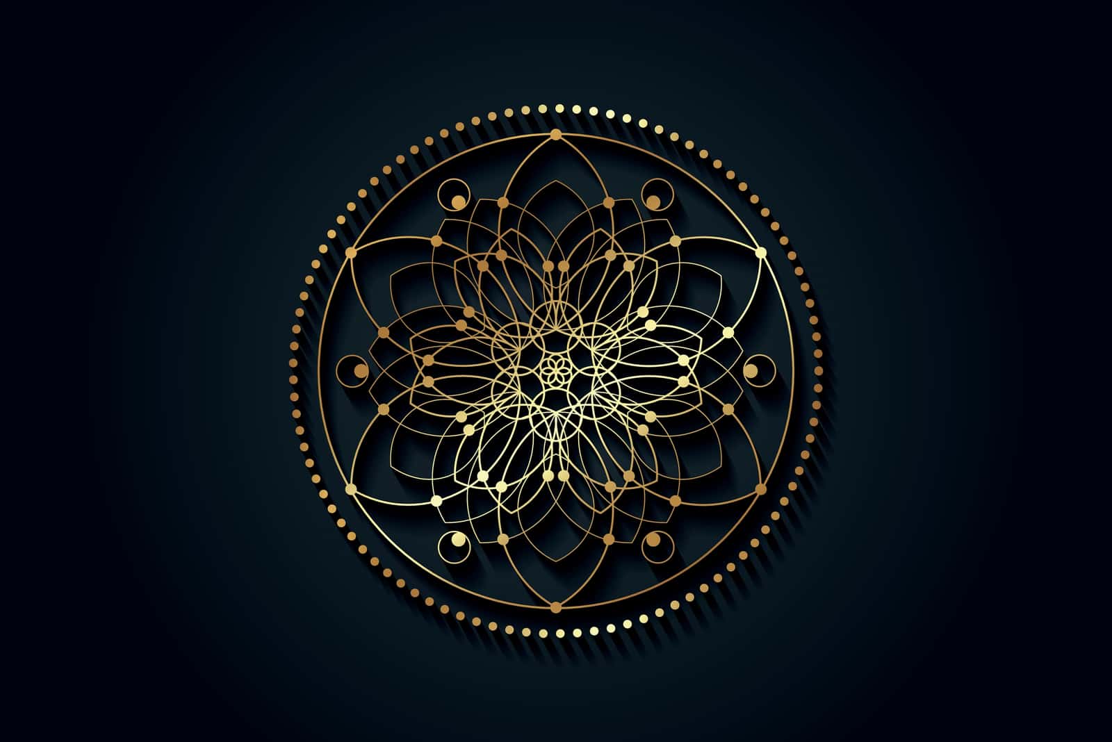 la fleur de vie sur fond noir