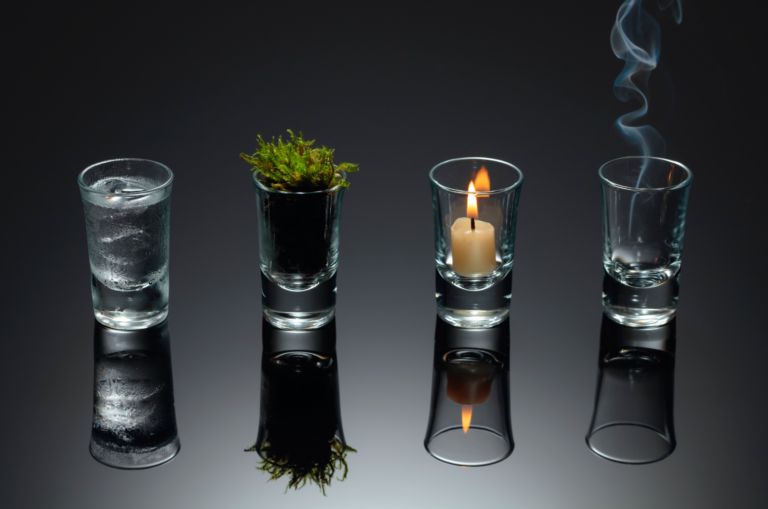 les 4 elements de vie