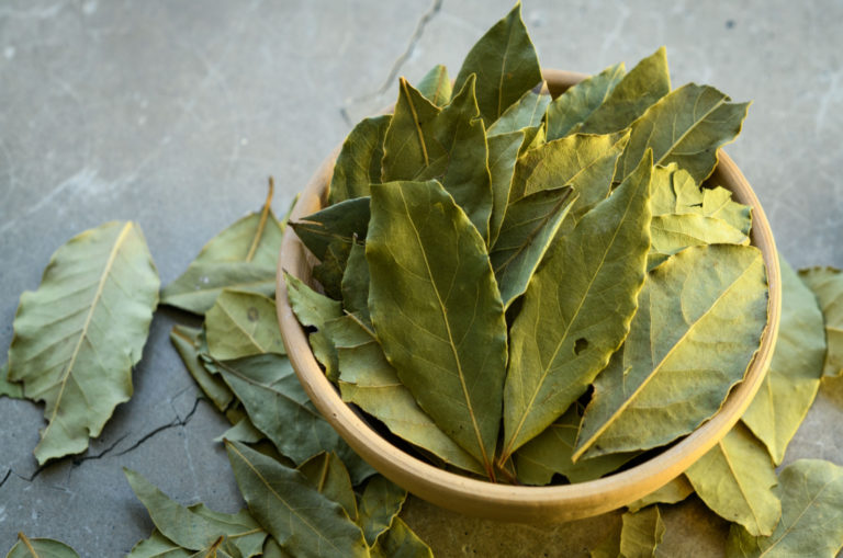 feuilles de laurier dans un bol