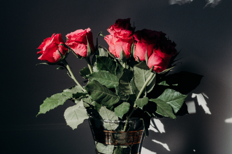 5 Roses Rouges