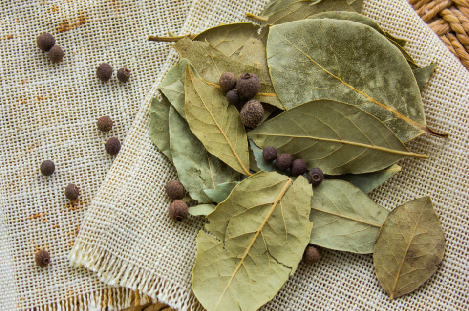 Les Feuilles De Laurier Pour L’amour : Les Rituels D’amour