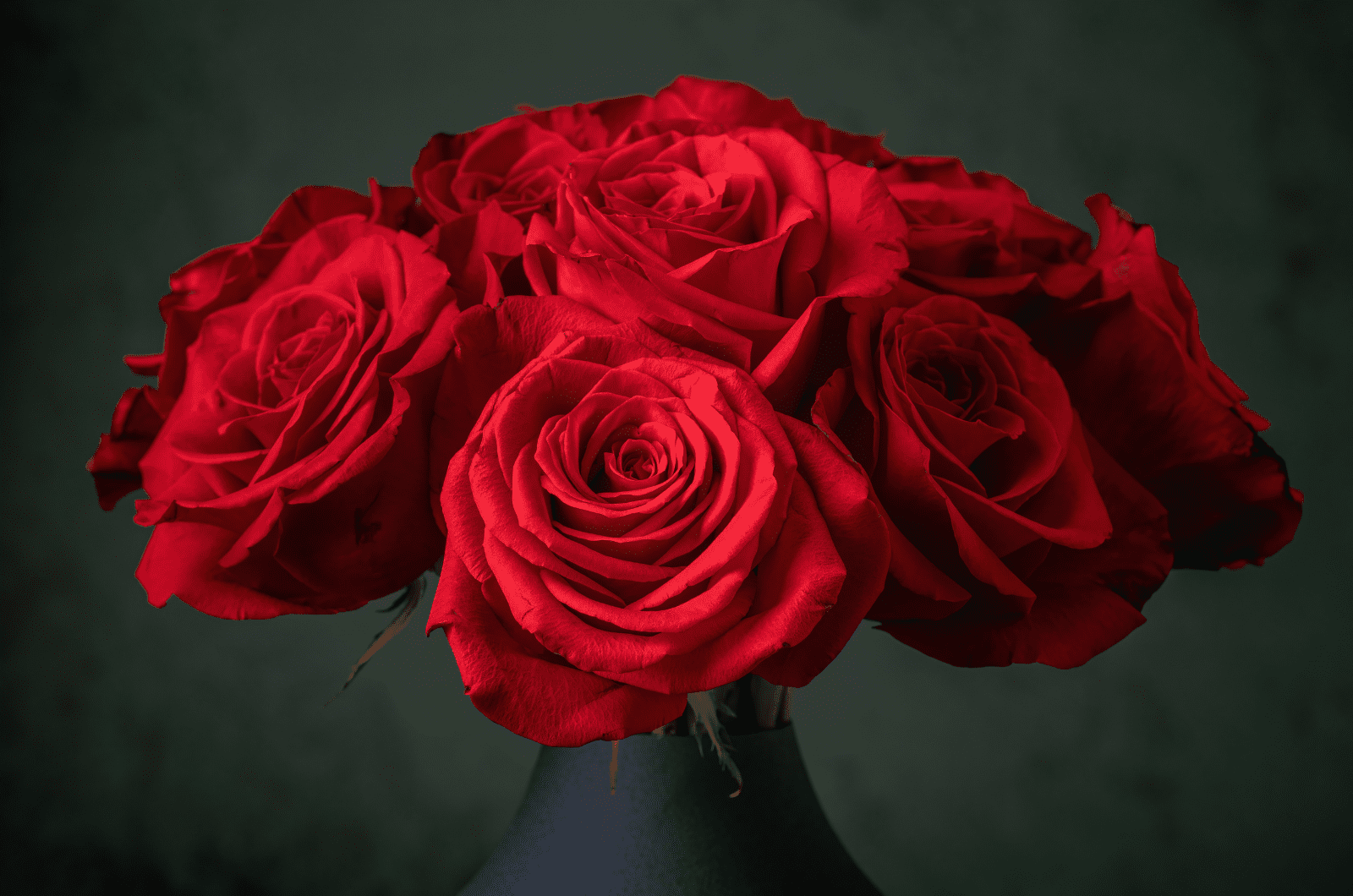 Signification De 5 Roses Rouges : Un Symbole Particulier