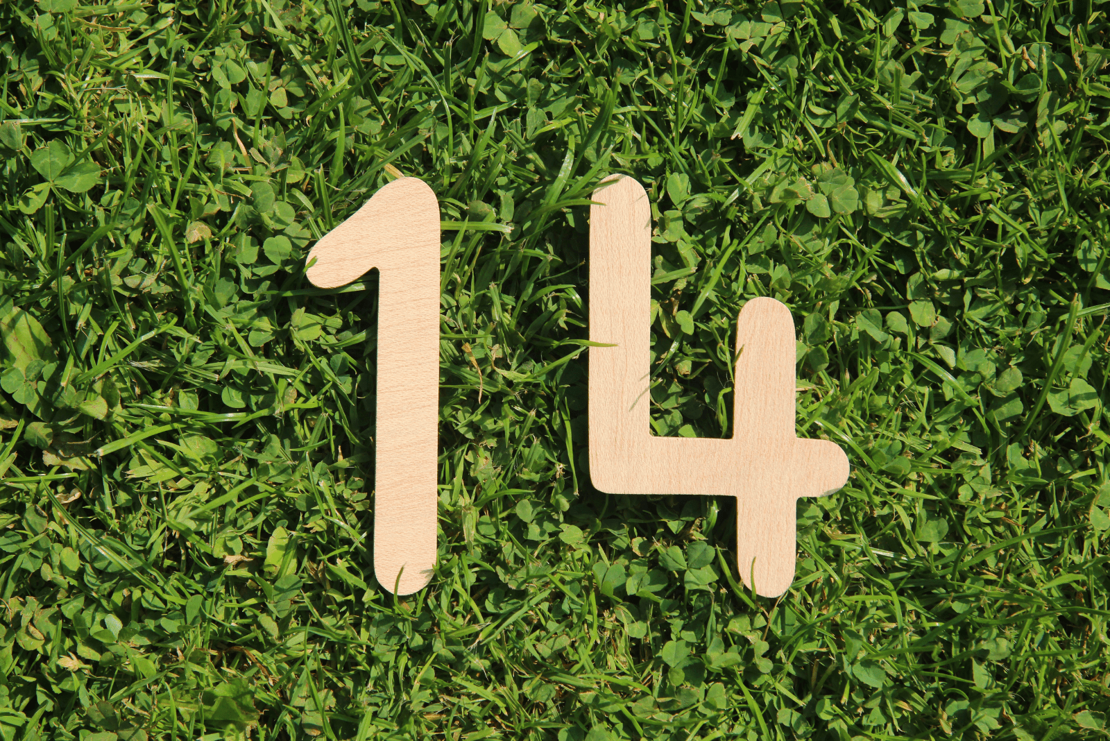 le numéro 14 est debout sur l'herbe