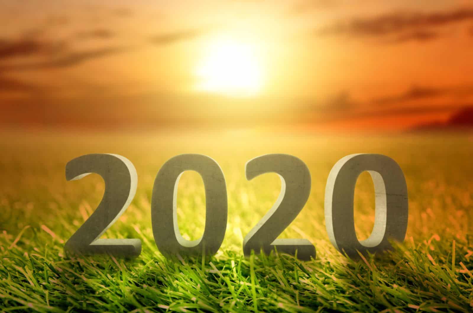 2020 sur l'herbe verte avec ciel coucher de soleil