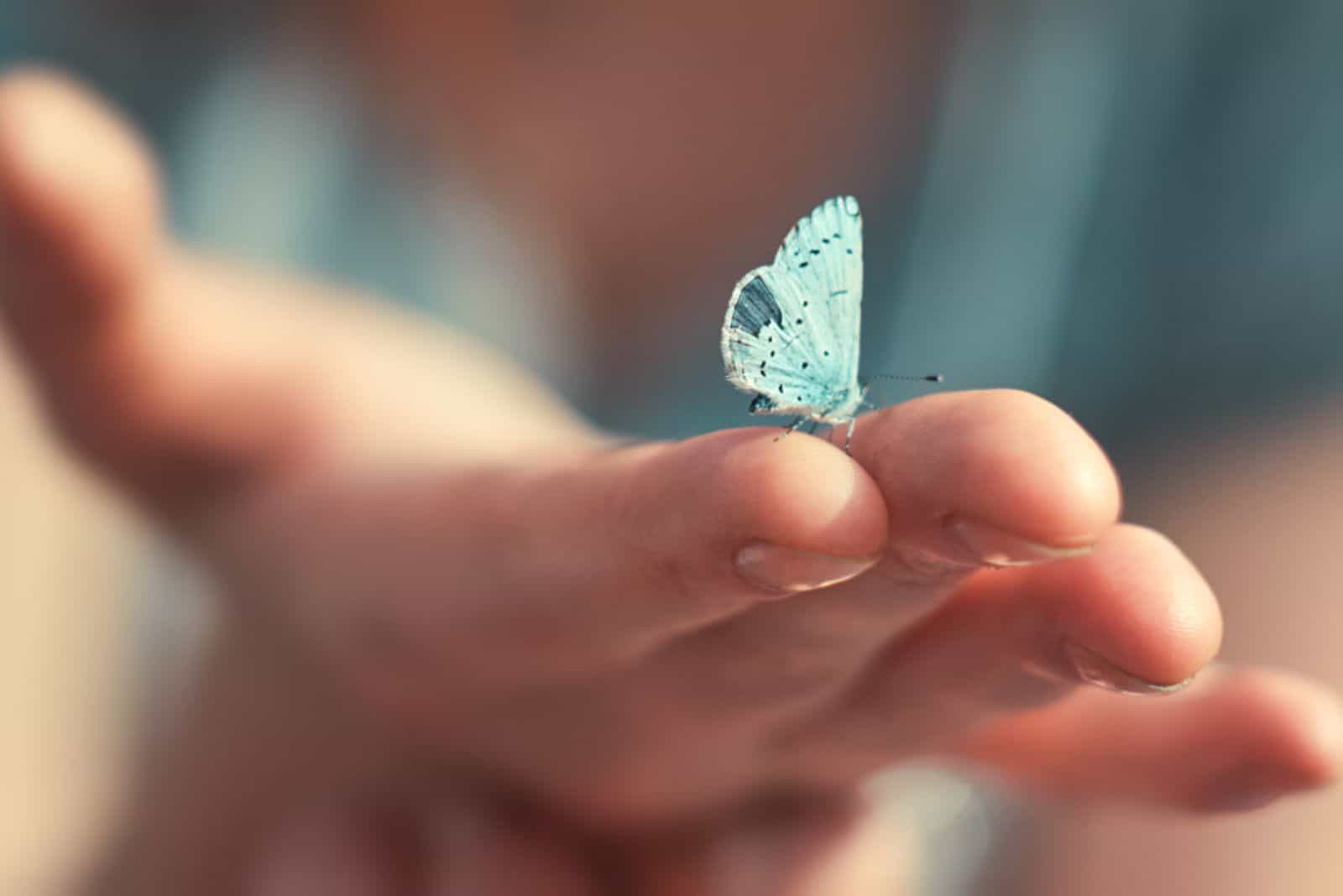 Le papillon se repose sur une main de femme