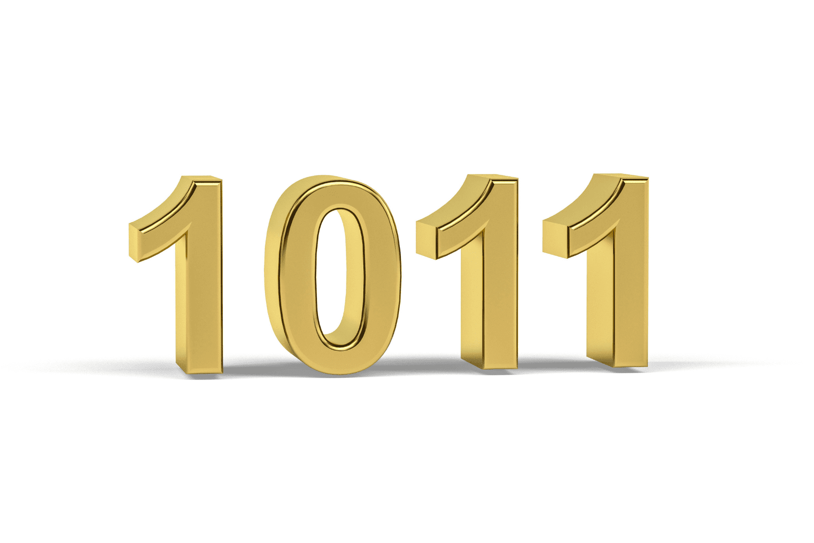 Numéro 1011 sur fond blanc