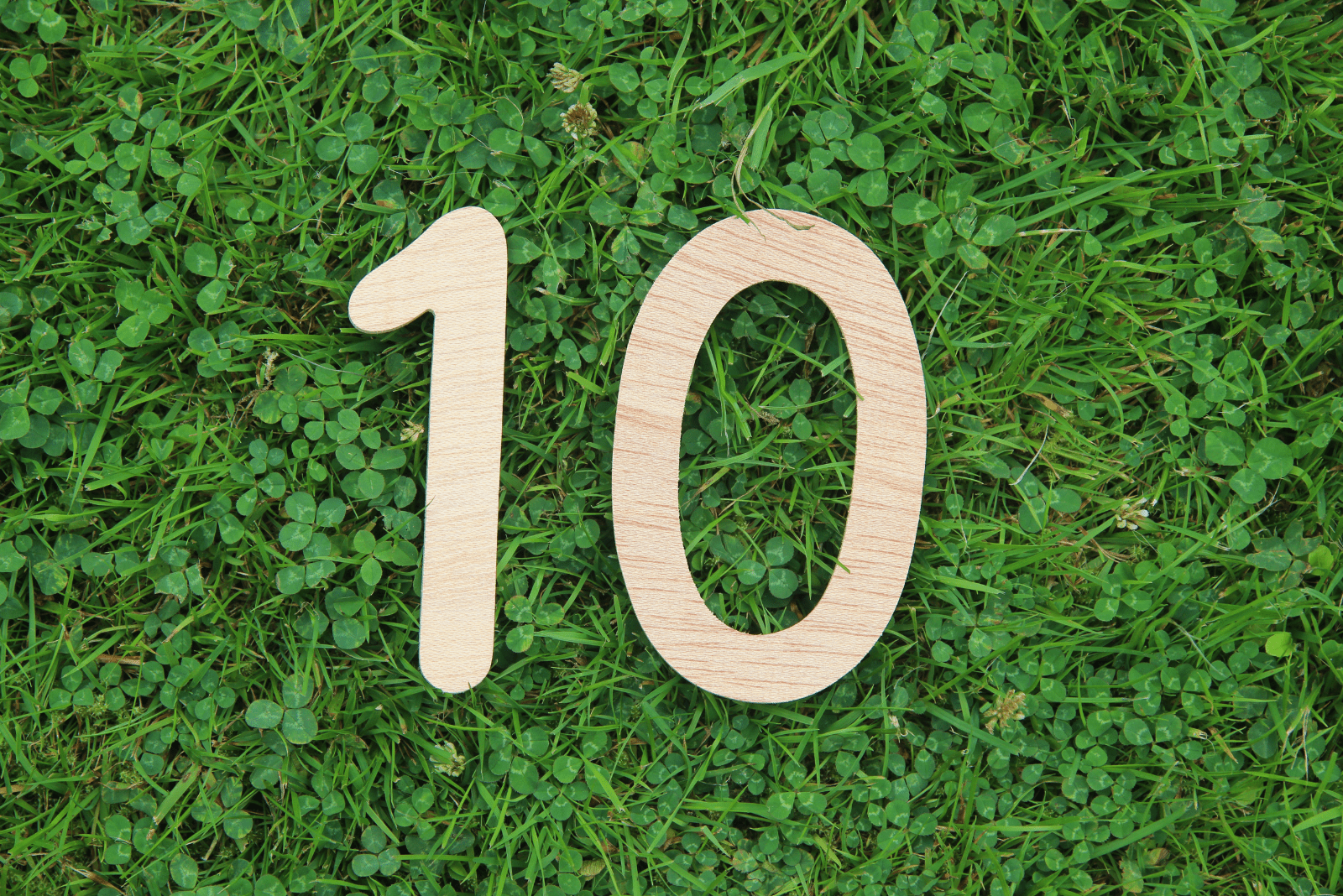numéro 10 sur l'herbe verte