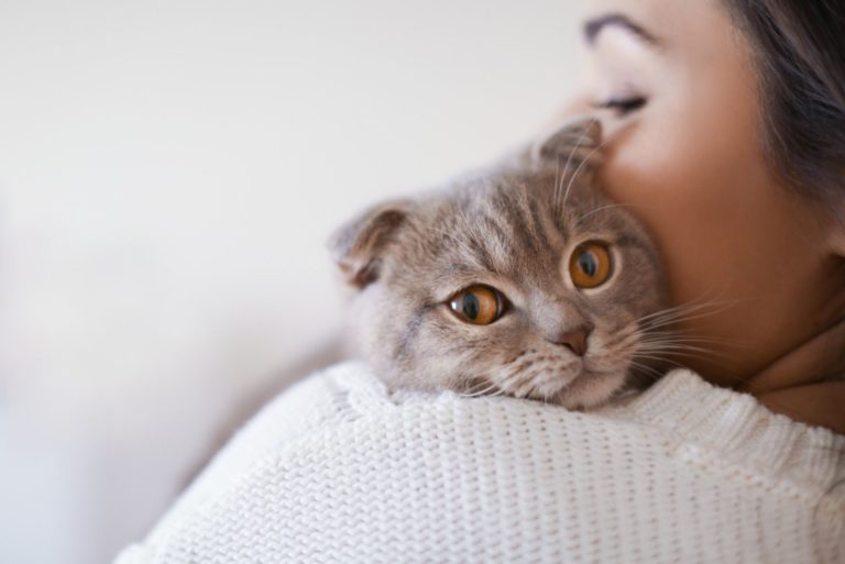 Belle jeune femme avec un chat mignon se reposant à la maison
