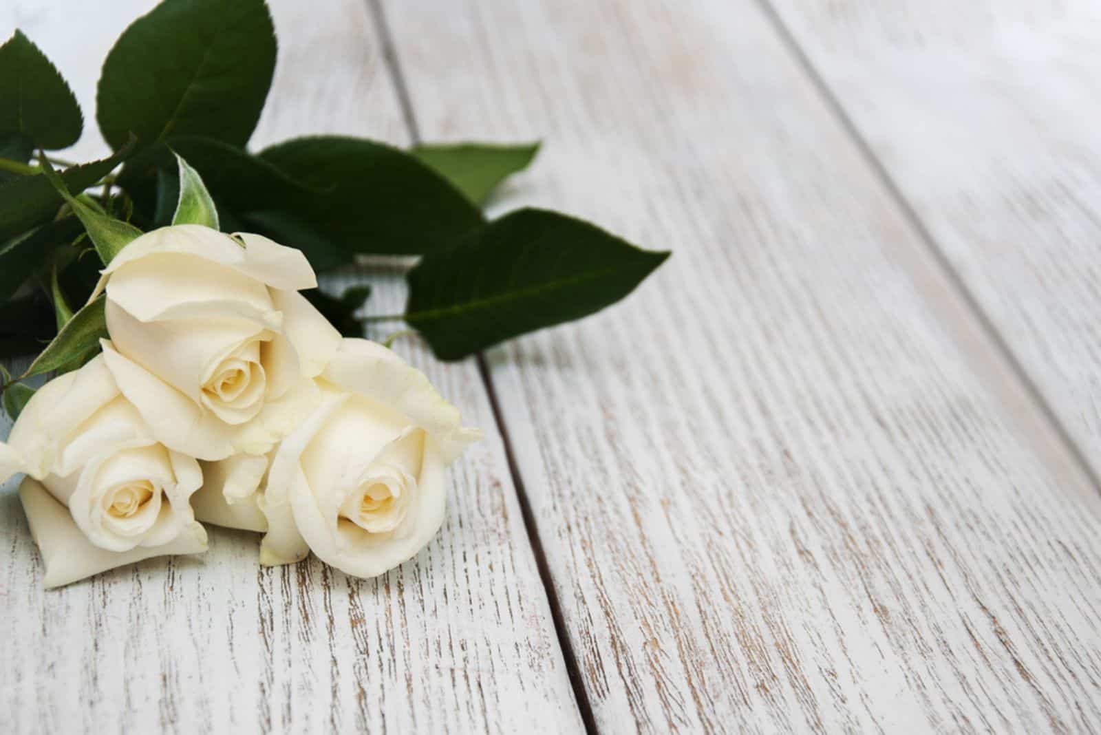 Roses blanches sur une vieille table en bois blanche