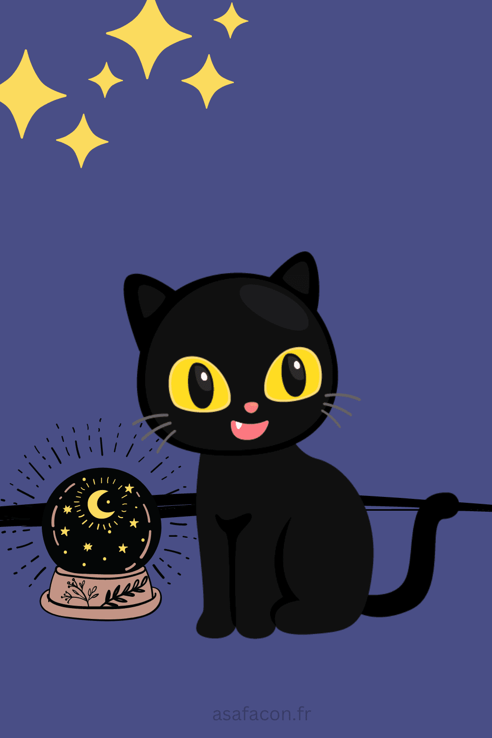 chat noir et une boule magique